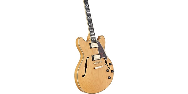 D&#39;Angelico / Deluxe DC Satin Honey画像3