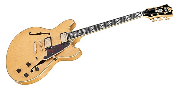 D&#39;Angelico / Deluxe DC Satin Honey画像4