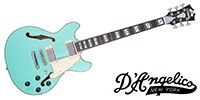 D’Angelico Deluxe Mini DC Limited Edition Matte Surf Green