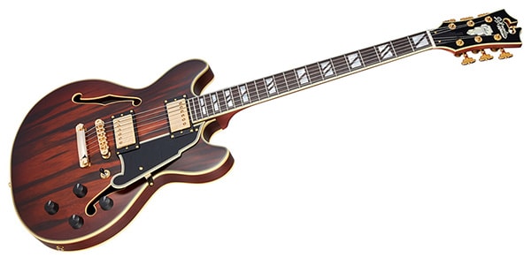 D&#39;Angelico / Deluxe Mini DC Satin Brown Burst画像3