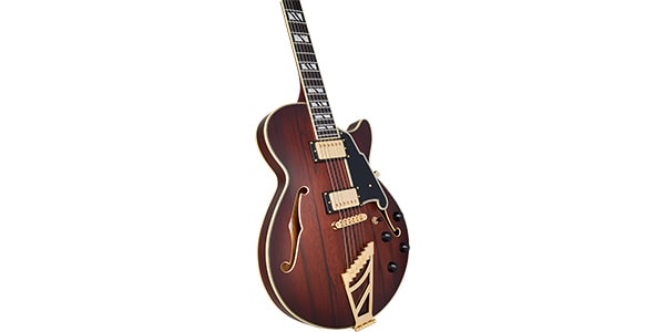 D&#39;Angelico / Deluxe SS Satin Brown Burst画像2