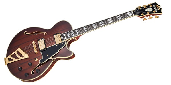 D&#39;Angelico / Deluxe SS Satin Brown Burst画像3