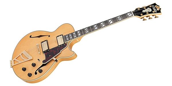 D&#39;Angelico / Deluxe SS SATIN HONEY画像3
