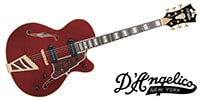 D'Angelico / Excel 59 Viola