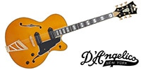 D'Angelico / Excel 59 Vintage Natural