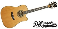 D'Angelico / Excel Bowery, Vintage Natural