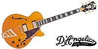 D’Angelico EXCEL SS Vintage Natural