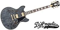 D'Angelico / Excel DC Black Dog