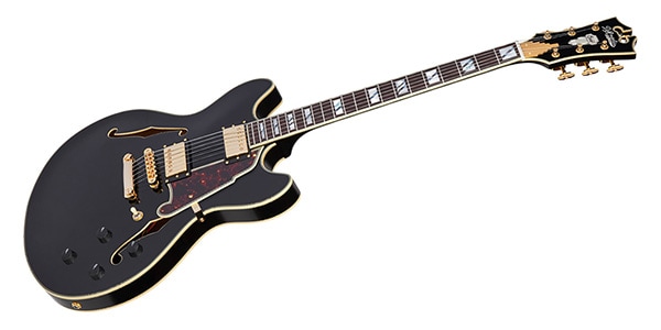 D&#39;Angelico / Excel DC Solid Black画像3