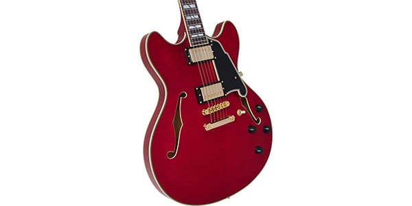 D&#39;Angelico / Excel DC Trans Cherry画像2