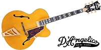 D'Angelico / Excel EXL-1 Amber