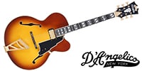 D'Angelico / Excel EXL-1 Dark Iced Tea Burst