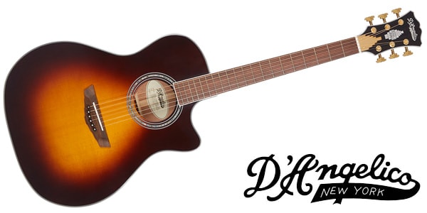 D&#39;Angelico / EX GRMRCY XT VNT SB