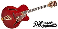 D'Angelico / Excel EXL-1 Throwback Viola