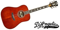D'Angelico / Excel Lexington, Auburn