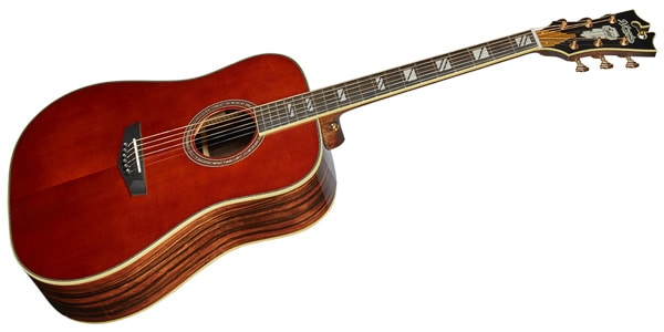 D&#39;Angelico / Excel Lexington, Auburn画像2