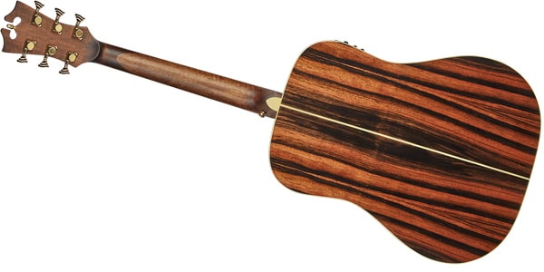 D&#39;Angelico / Excel Lexington, Auburn画像4