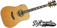 D'Angelico / Excel Lexington, Vintage Natural