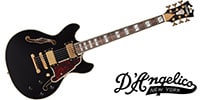 D'Angelico / Excel Mini DC Black