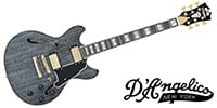 D'Angelico / Excel Mini DC Black Dog