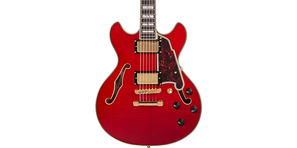 D&#39;Angelico ( ディアンジェリコ )  / Excel Mini DC Trans Cherry画像3