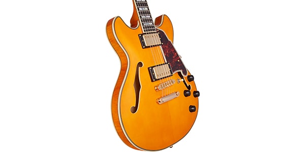 D&#39;Angelico / EX MINI DC VNT NT画像4