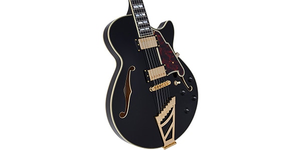 D&#39;Angelico / Excel SS Solid Black画像2