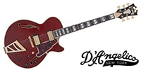 D'Angelico / Excel SS Viola
