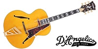 D'Angelico / Excel Style B Amber