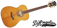 D'Angelico / Excel Tammany XT, Vintage Natural