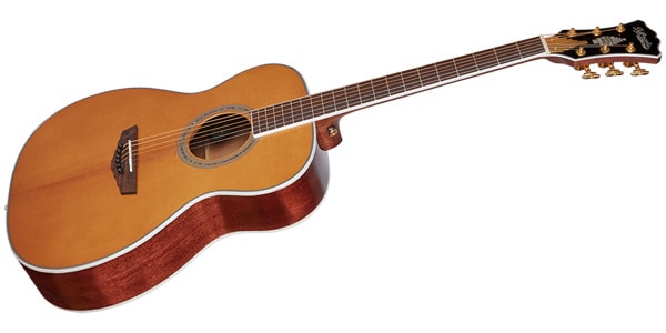 D&#39;Angelico / Excel Tammany XT, Vintage Natural画像2