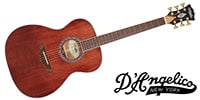 D'Angelico / Excel Tammany XT, Walnut Stain