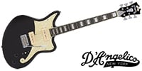 D'Angelico / Premier Bedford, Black Flake