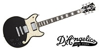 D'Angelico / Premier Brighton Black Flake