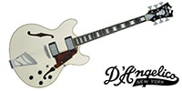 D'Angelico / Premier DC Stairstep Champagne