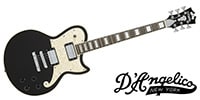 D'Angelico / Premier Atlantic Black Fake