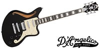 D'Angelico / Premier Bedford SH Black Fake