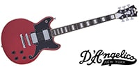 D'Angelico / Premier Brighton Oxblood
