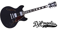 D'Angelico / Premier DC Black Flake