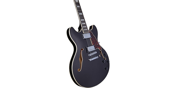 D&#39;Angelico / Premier DC Black Flake画像3