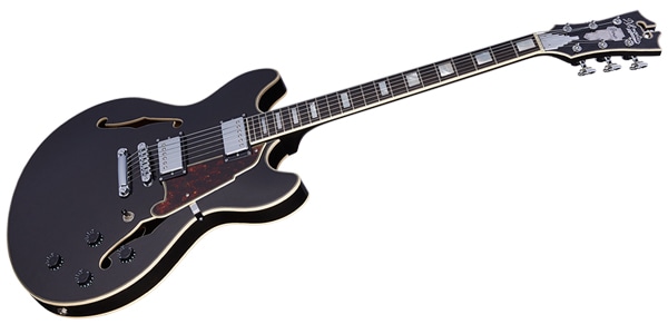 D&#39;Angelico / Premier DC Black Flake画像4