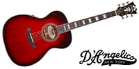 D'Angelico / Premier Gramercy Trans Black Cherry Burst
