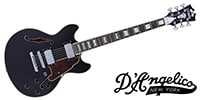 D’Angelico Premier Mini DC Black Fake