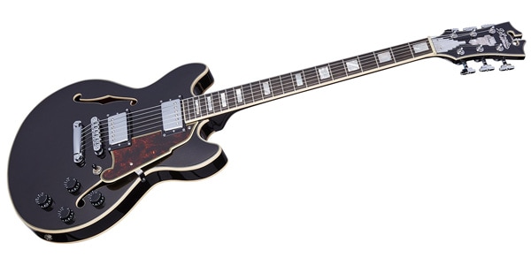 D&#39;Angelico ( ディアンジェリコ )  / Premier Mini DC Black Flake画像3