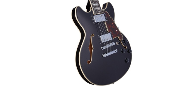 D&#39;Angelico ( ディアンジェリコ )  / Premier Mini DC Black Flake画像4