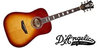 D'Angelico / Premier Lexington Iced Tea Burst