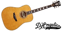 D'Angelico / Premier Lexington Vintage Natural