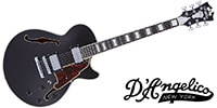 D’Angelico Premier SS‚ Black Flake