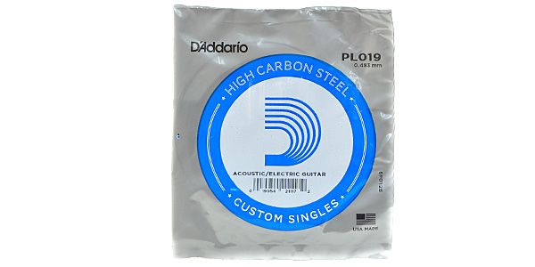 DADDARIO/PL019 Single Plain Steel 019