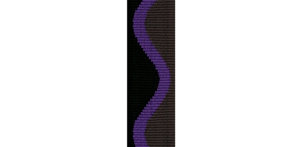 D&#39;Addario Woodwinds / SJA01 S/A.Sax Strap Jazz Wave画像2